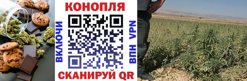 Купить закладки  Нея  Cannafood конопля 