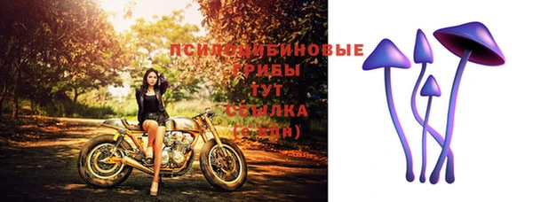 герыч Арсеньев