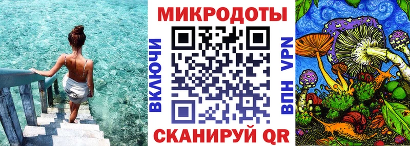 Купить закладки  Нея  Галлюциногенные грибы Psilocybine cubensis 